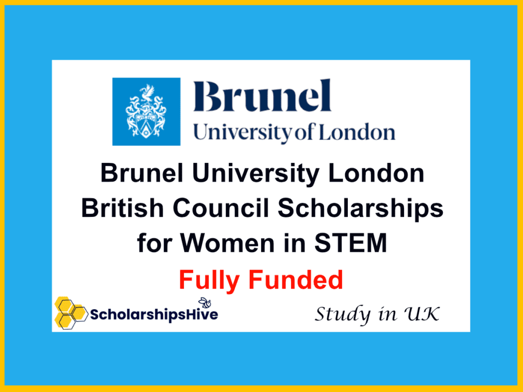 brunel university of london scholarships