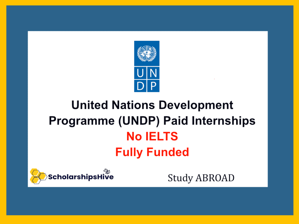 United Nations Development Programme (UNDP)