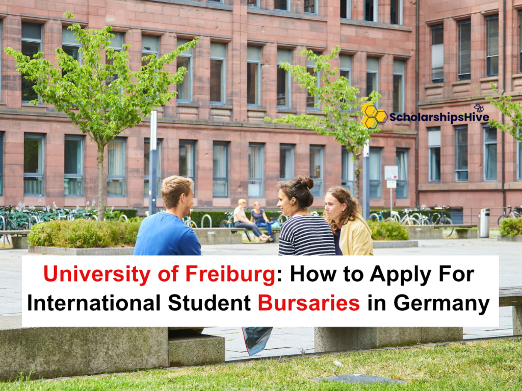 University of Freiburg: How to Apply For International Student Bursaries, Germany | Partial Funding