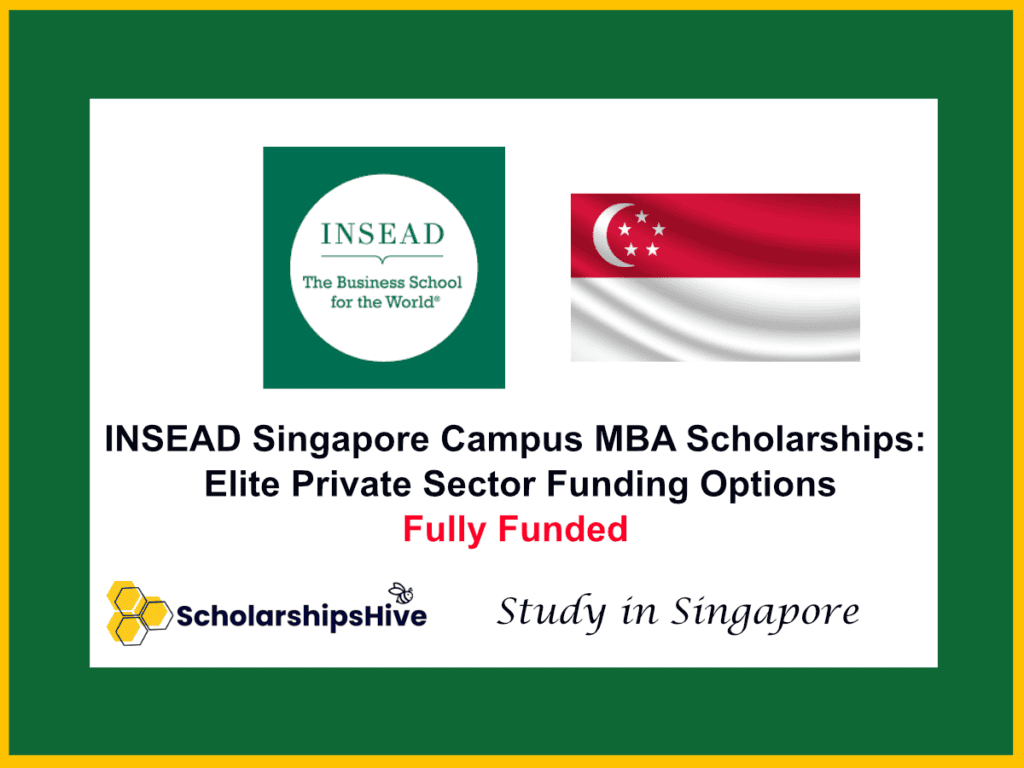 INSEAD Singapore Campus MBA Scholarships: Elite Private Sector Funding Options in Singapore